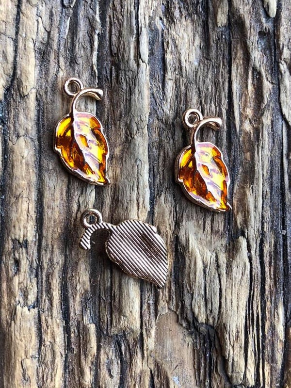 Bedel Gekleurd Herfst Blaadje Blad Geel