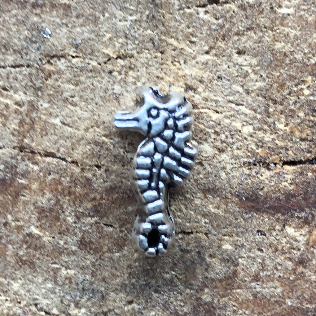 Zeepaardje Kraal