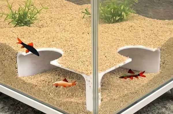 Aquarium grot wit 3d geprint