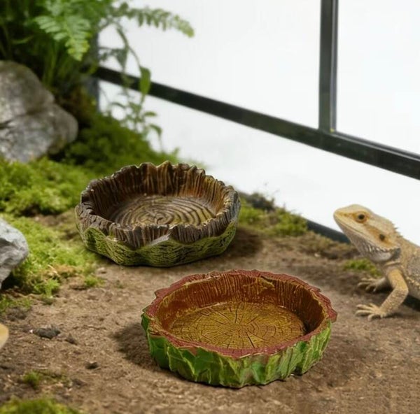 Voederbak en drinkbak terrarium - Stevig ontwerp - Makkelijk te reinigen - Reptielen