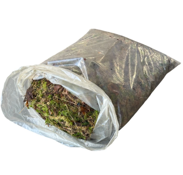 1kg Fresh Sphagnum Moss For Reptiles Gardening Plants