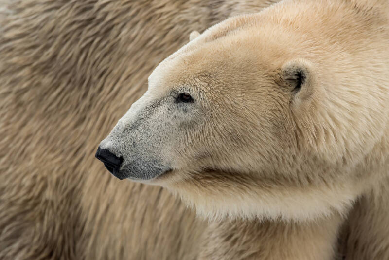 blijdorp-zat-07-01-17_23824-standard-p3uov6.jpg