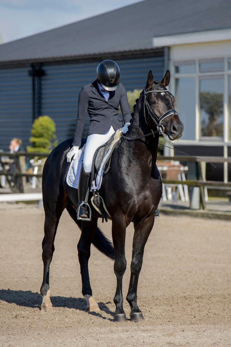 delftse-dressuur-cup-paarden-pony-s-zat-15-04-23_3764-kopi-ren-2-kopie-standard.jpg