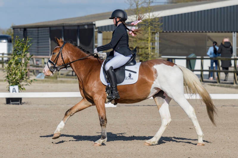 delftse-dressuur-cup-paarden-pony-s-zat-15-04-23_3800-kopi-ren-kopie-standard-6uph0t.jpg