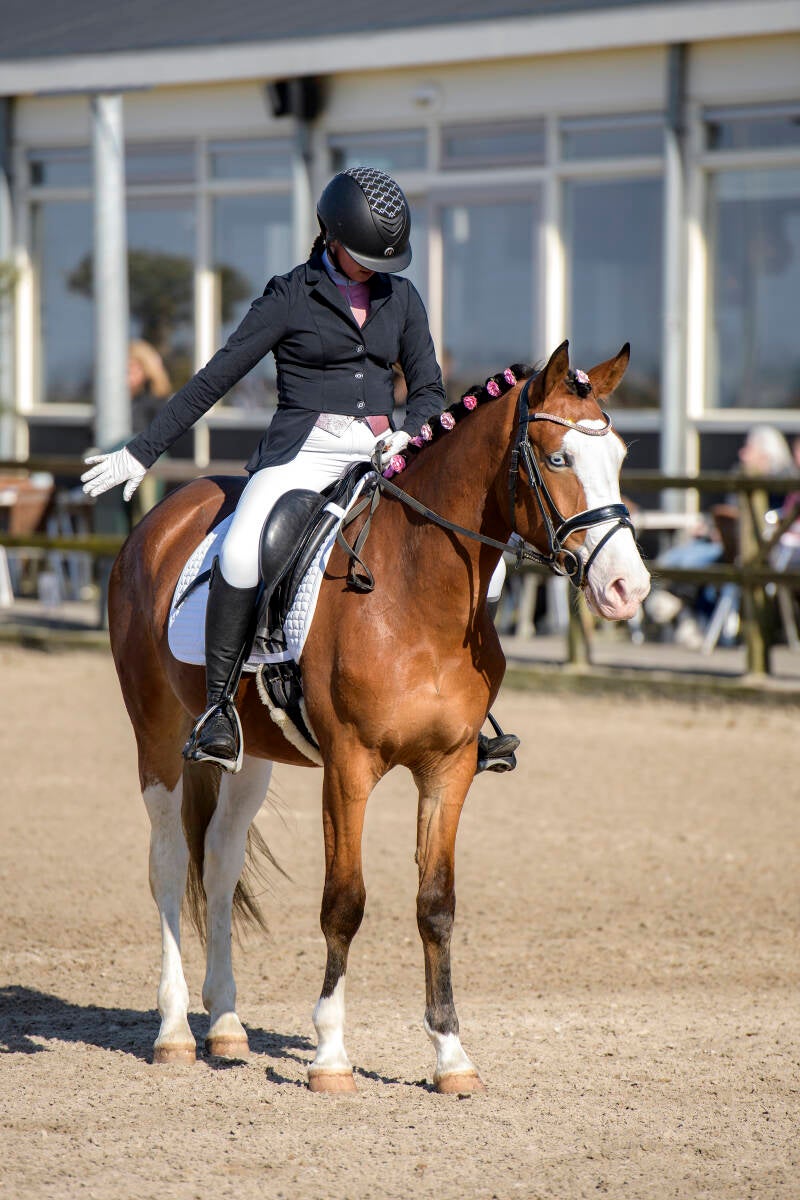 delftse-dressuur-cup-paarden-pony-s-zat-15-04-23_3826-kopi-ren-kopie-standard.jpg