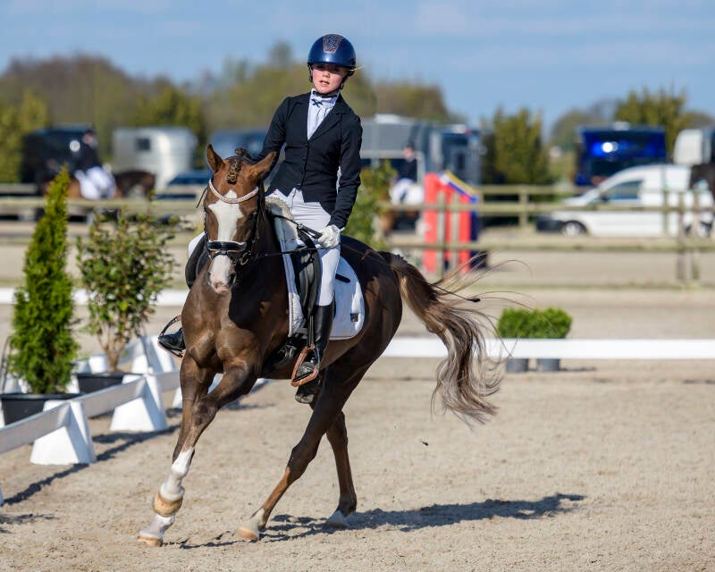 delftse-dressuur-cup-paarden-pony-s-zat-15-04-23_3987-kopi-ren-kopie-standard.jpg