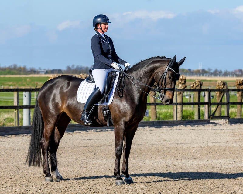 delftse-dressuur-cup-paarden-pony-s-zat-15-04-23_4071-kopi-ren-2-kopie-standard.jpg