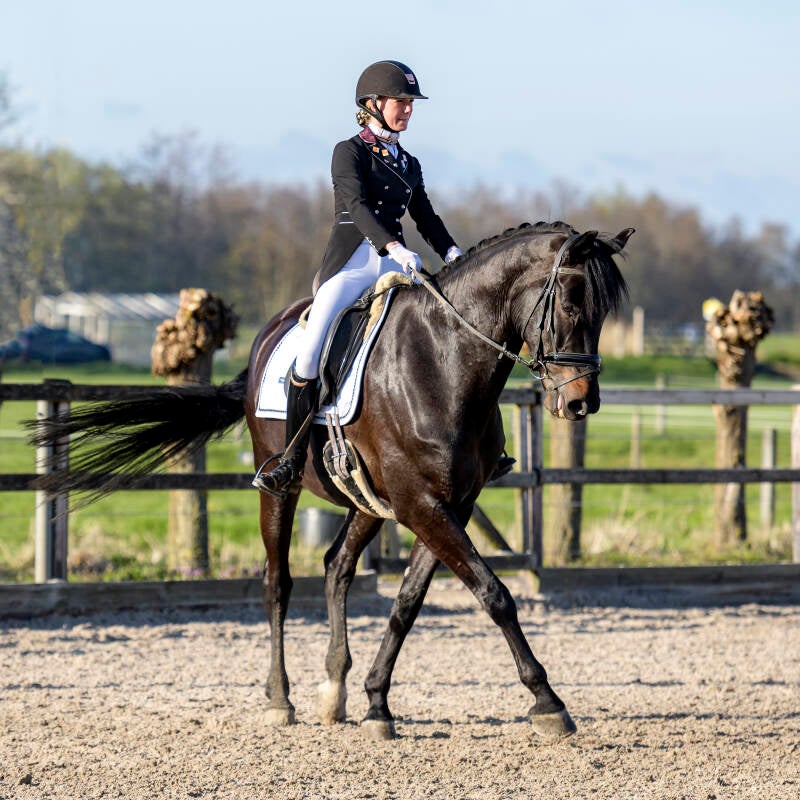 delftse-dressuur-cup-paarden-pony-s-zat-15-04-23_4222-kopi-ren-kopie-standard-wjzlyx.jpg