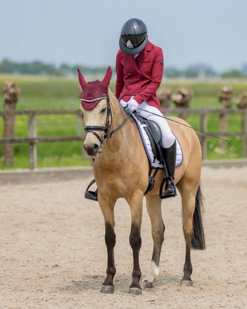 delftse-dressuur-cup-paarden-pony-s-zon-14-05-23_1778-kopi-ren-kopie-standard-5qjyfs.jpg