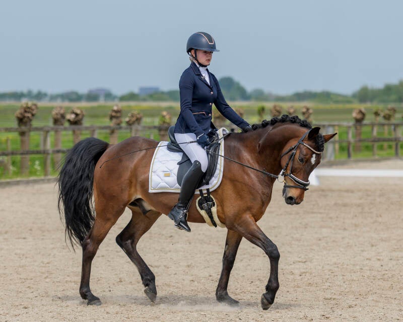 delftse-dressuur-cup-paarden-pony-s-zon-14-05-23_1931-kopi-ren-kopie-standard.jpg