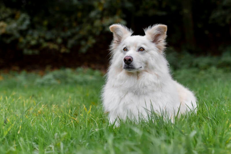 fotoshoot-odin-di-10-11-20_0060-standard-4hc51o.jpg