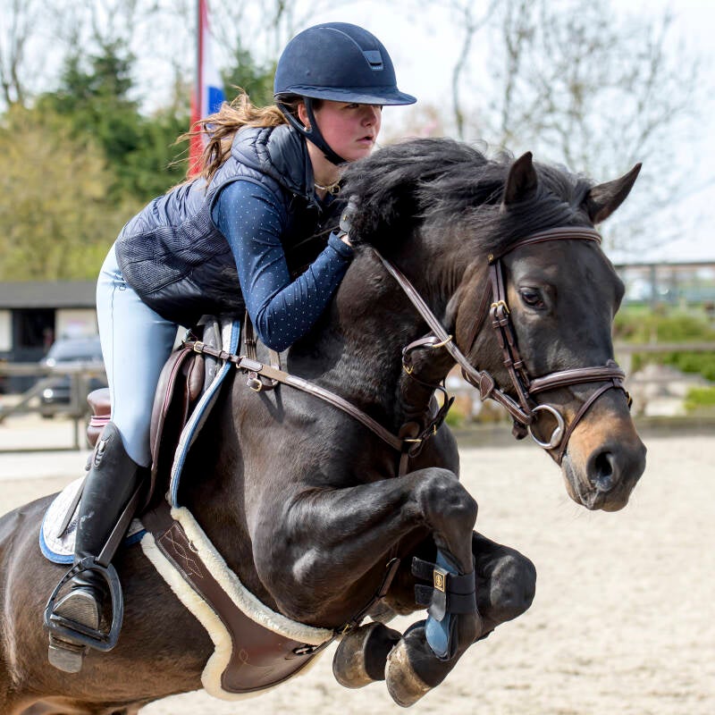 koningsspringen-2023-manege-de-prinsenstad-do-27-04-23_6381-kopi-ren-standard-5opcvk.jpg