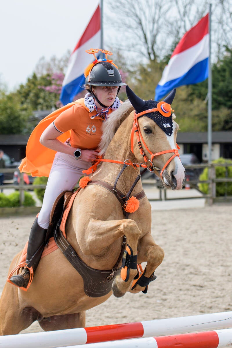 koningsspringen-2023-manege-de-prinsenstad-do-27-04-23_6522-kopi-ren-kopie-standard-h9cn8a.jpg