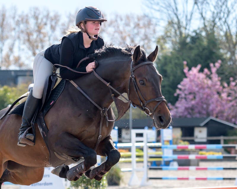 koningsspringen-2023-manege-de-prinsenstad-do-27-04-23_6865-kopi-ren-kopie-standard-s3hljj.jpg