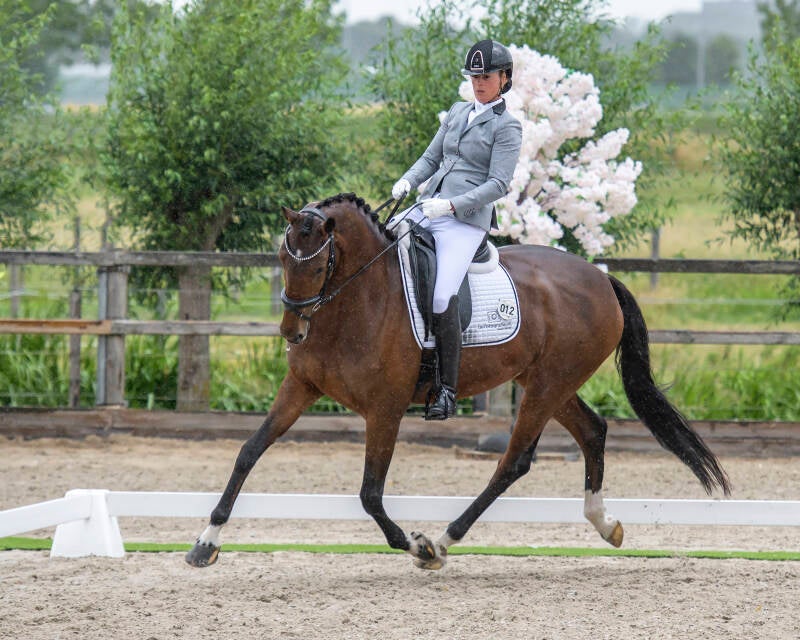 kwpn-manege-de-prinsenstad-zat-1-07-23_0029-kopi-ren-2-kopie-standard-jopepd.jpg