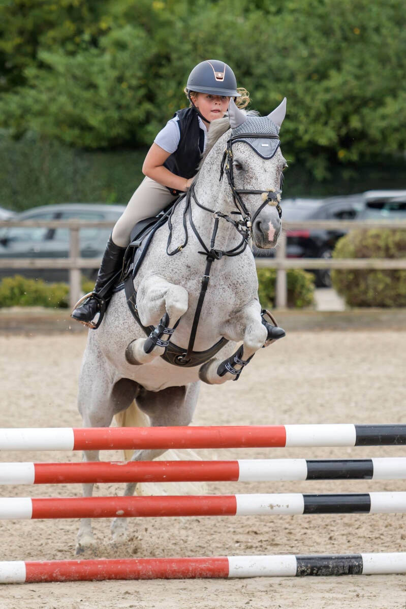 oefenspringen-manege-de-prinsenstad-zon-30-07-23_1095-kopi-ren-standard-0d4z77.jpg