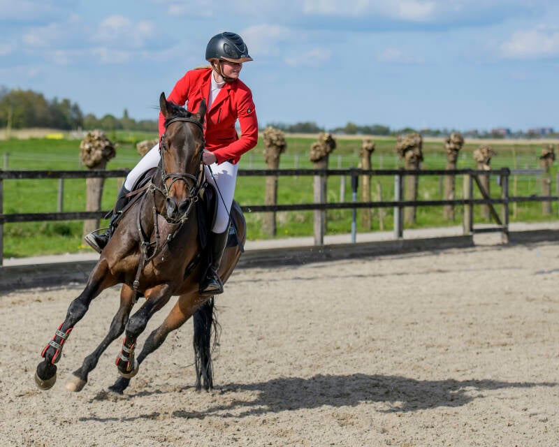 prinsenstad-springweekend-knhs-pony-s-zon-30-04-23_7468-kopi-ren-kopie-standard.jpg