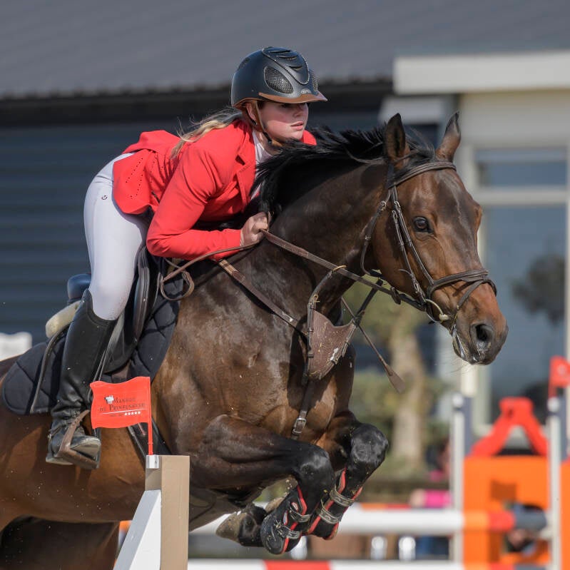 prinsenstad-springweekend-knhs-pony-s-zon-30-04-23_7469-kopi-ren-standard-e3jwnx.jpg