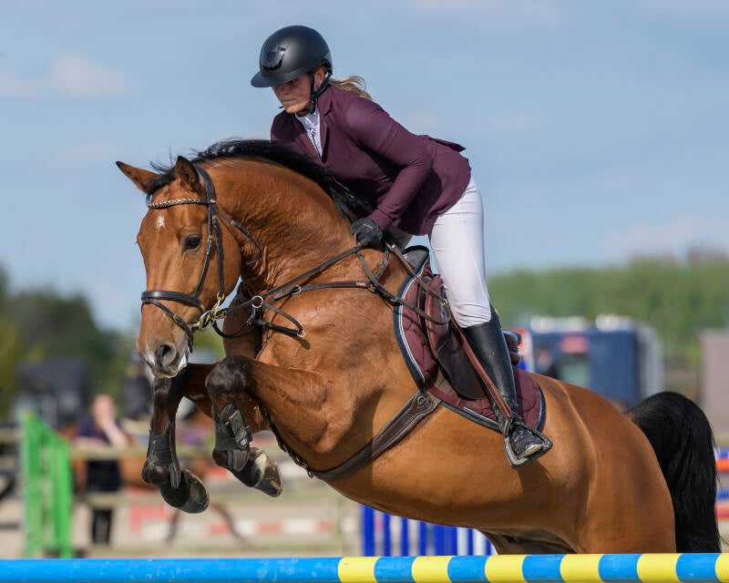 prinsenstad-springweekend-knhs-pony-s-zon-30-04-23_7494-kopi-ren-kopie-standard-4gc29u.jpg