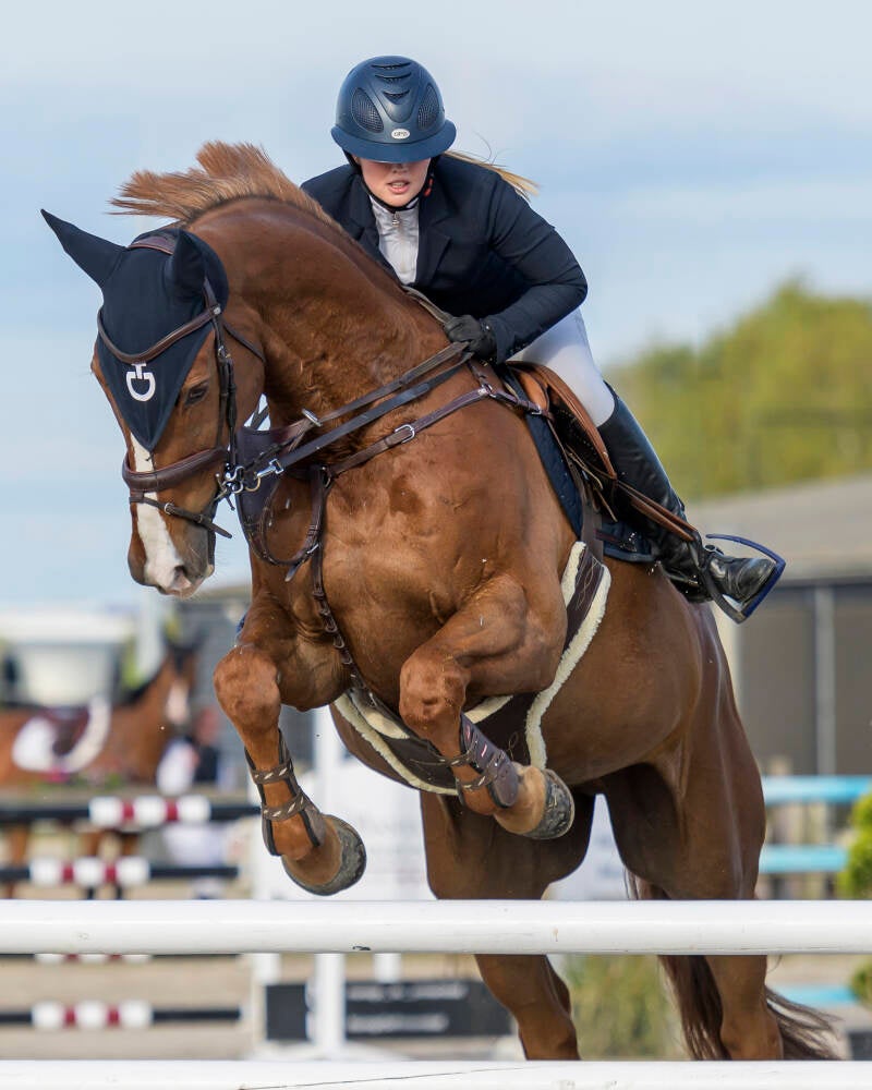 prinsenstad-springweekend-knhs-pony-s-zon-30-04-23_7696-kopi-ren-kopie-2-standard-whx6b0.jpg