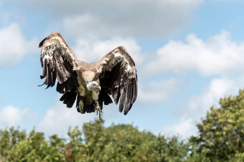 texel-augustus-2019-d750-_3382-standard-sihhrz.jpg