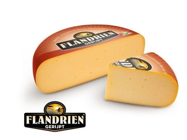 Kaas Flandrien gerijpt