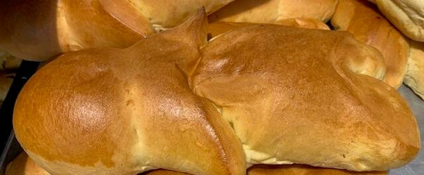 Y&E engel effen/rozijn