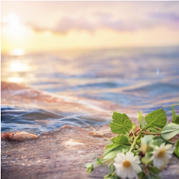 life-caoching-monats-abo-stärke-deinen-mut-jetzt-kartenrat.com