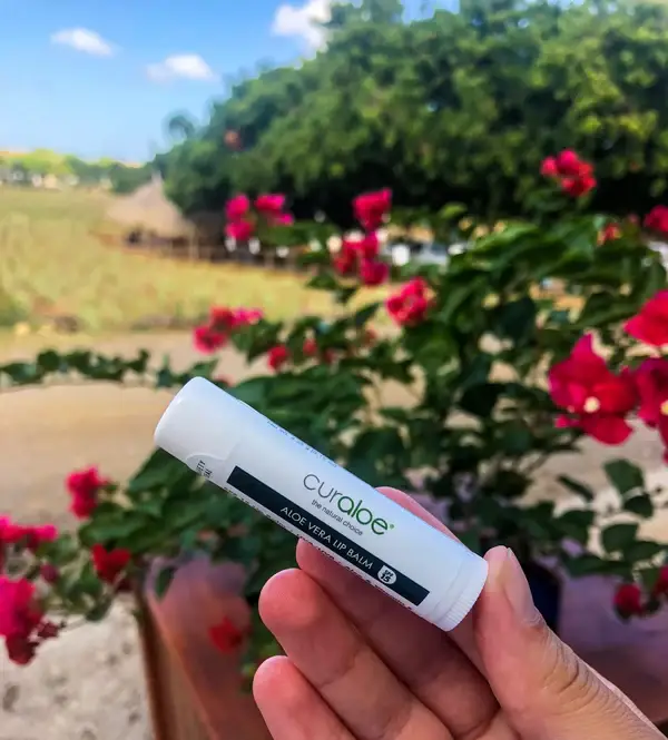 Lippenbalsem SPF 15 met 50% Aloë Vera en Vitamine E 9 gr