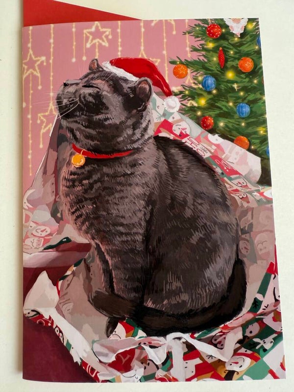 Christmas card- Cat gift