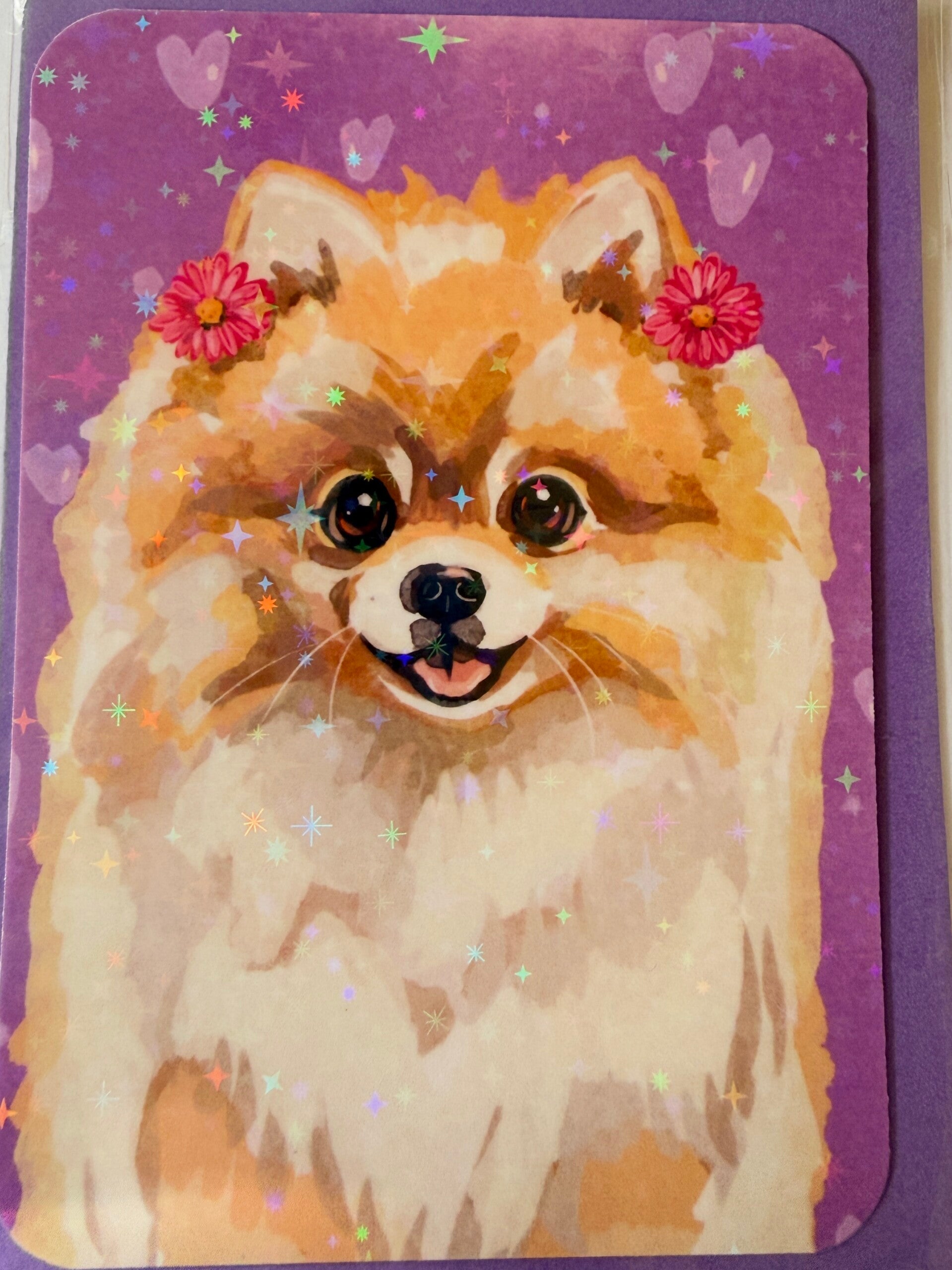 mini glitter card with envelope <Pomeranian>