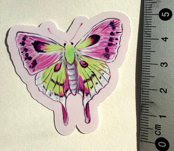 small sticker <Butterfly>