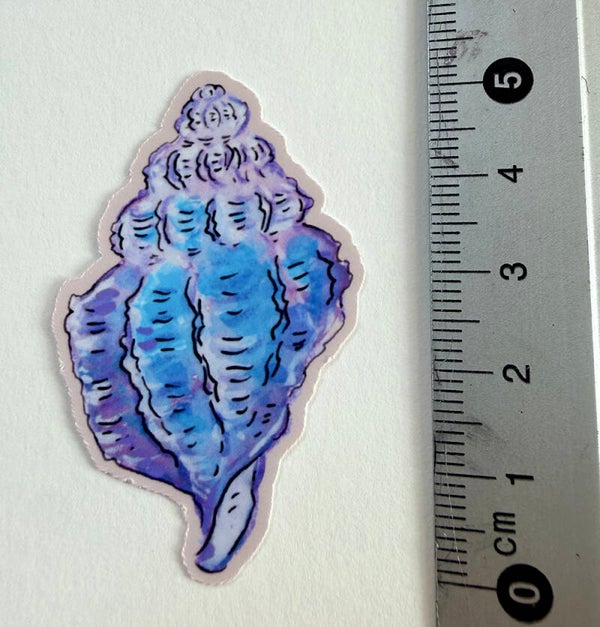 small sticker <Conch>