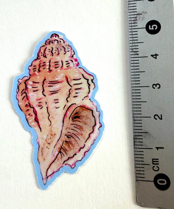small sticker <Conch>