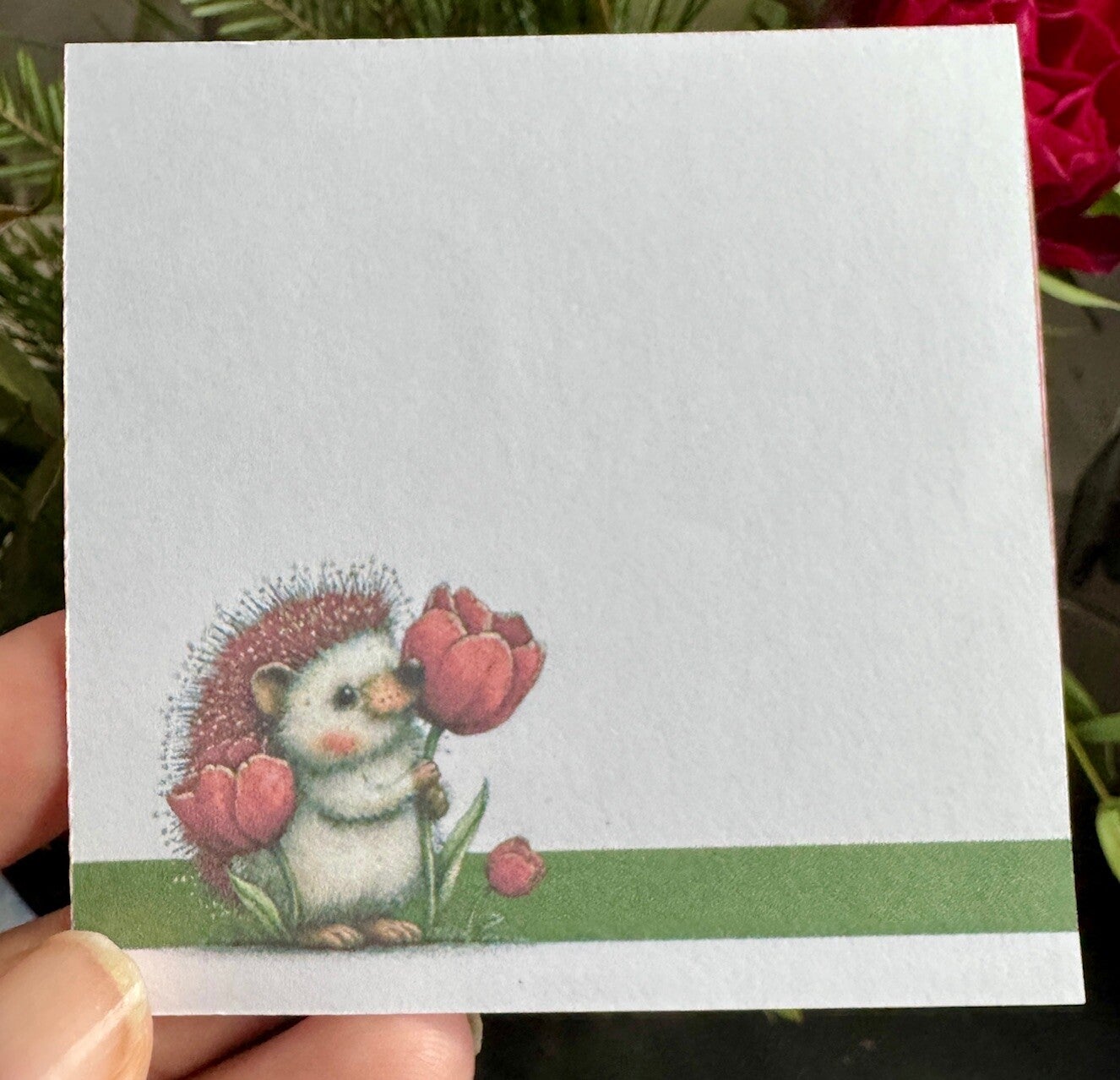 Spring Hedgehog Background Note Cube (3 x 3")