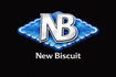 NEW BISCUIT - Blues band