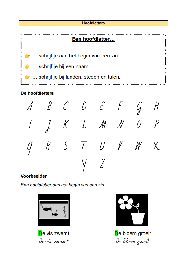 b-standard-116oq9.png