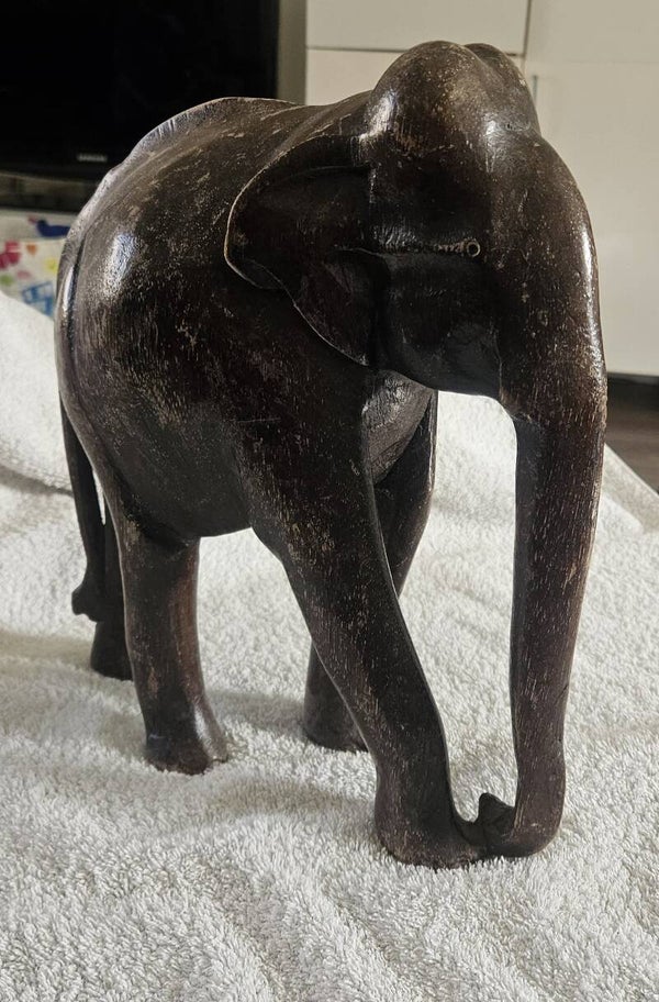 Olifant groot