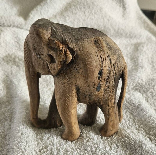 Olifant klein
