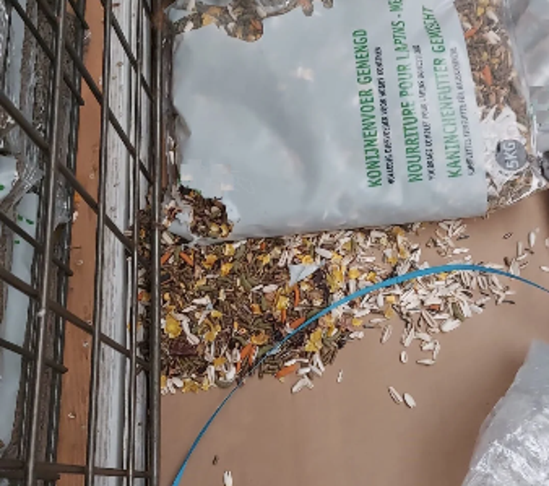 Knaag en vraatschade van ratten in een nacht tijd.