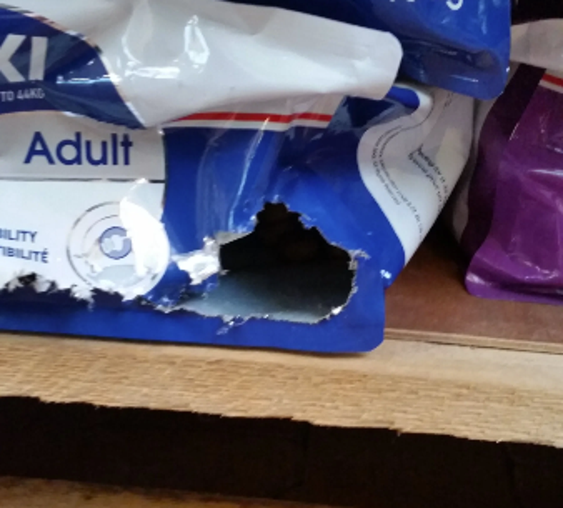 Kennelijk vinden de ratten de hondenbrokken voor volwassen honden ook lekker.