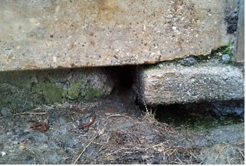 De ratten hebben hun nest achter de wanden van deze voeropslag.