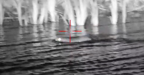 Rat zwemt in de sloot