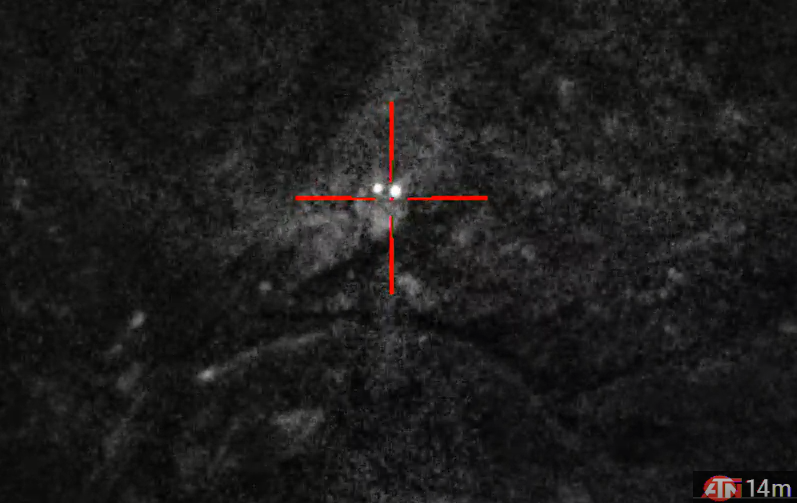 Rat kijkt door het gaatje in de landbouwplastic. Foto EcoRat