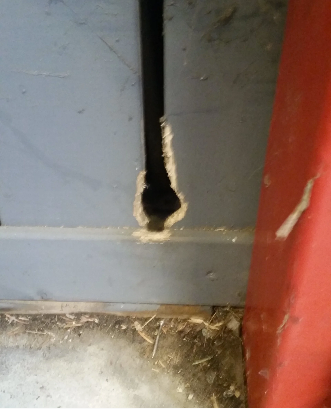 Knaagschade door ratten.