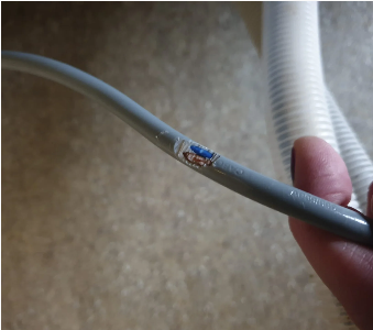 Knaagschade door ratten. De rat heeft de elektriciteitskabel kapot geknaagd.