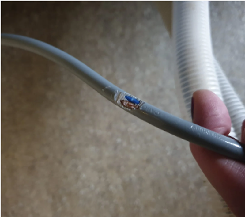 Knaagschade door ratten. De rat heeft de elektriciteitskabel kapot geknaagd.