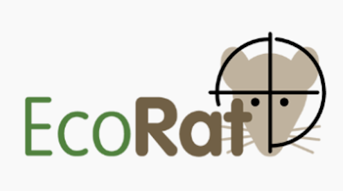 De rattenoverlast of rattenplaag kan snel, veilig en effectief verholpen worden. Rattenbestrijding in Utrecht en Zuid-Holland