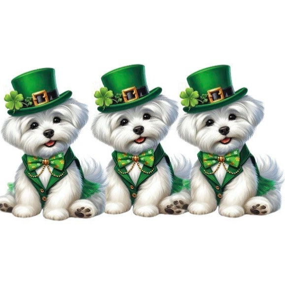 THREE Dogs - 4 weeks