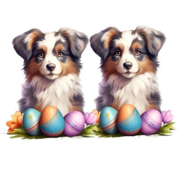 TWO Dogs - 1 Year
